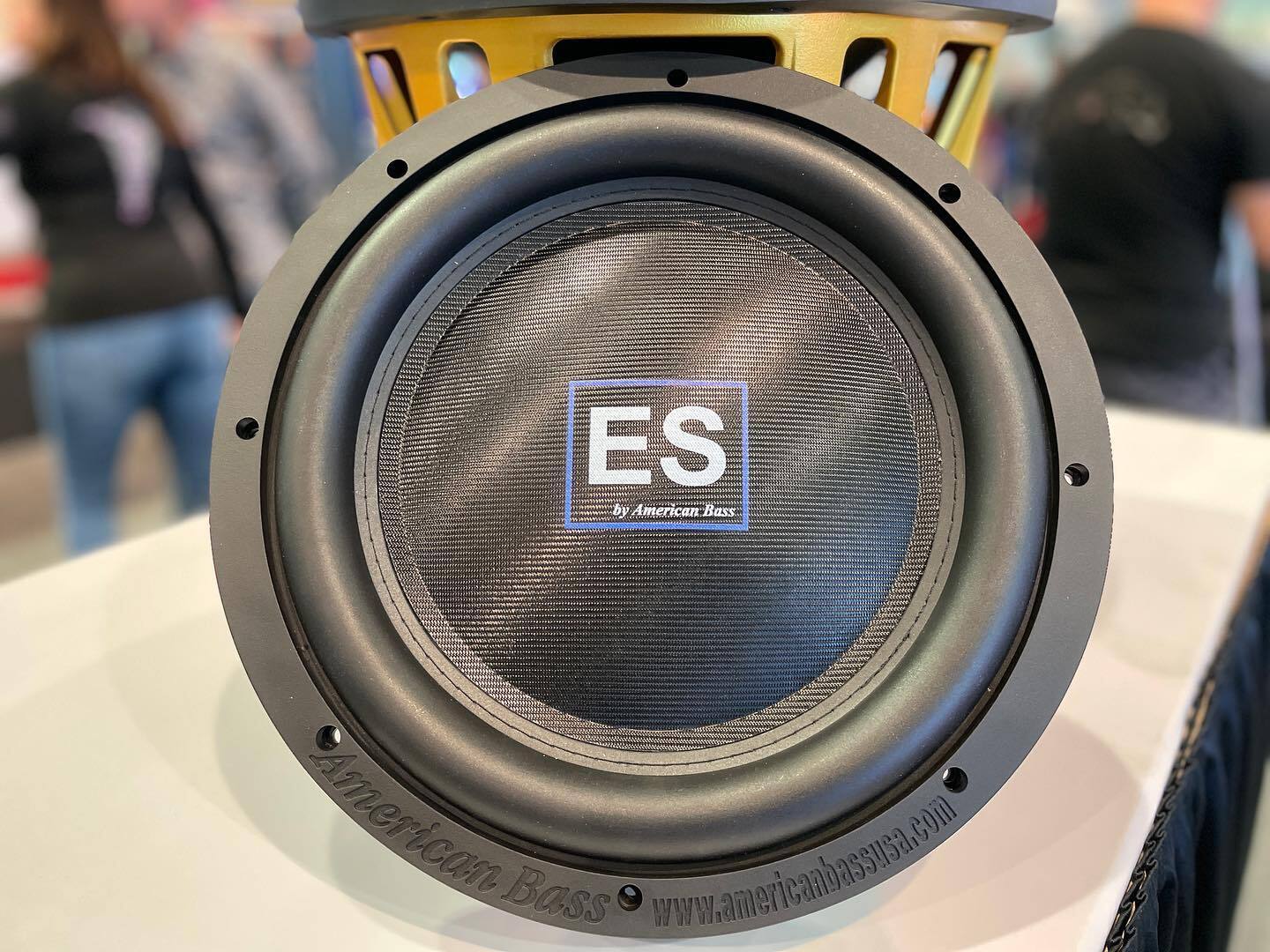 American Bass ES 12 Subwoofer | DESIGNER MOTORSPORTS